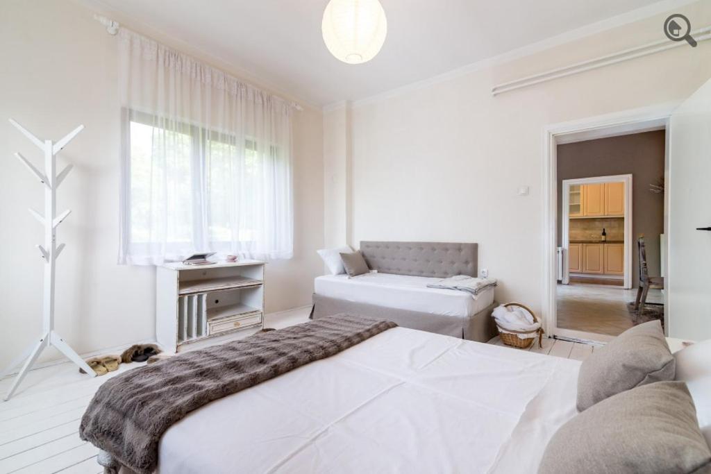 Wine House Apartment เบลเกรด ภายนอก รูปภาพ